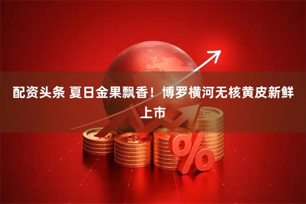 配资头条 夏日金果飘香！博罗横河无核黄皮新鲜上市