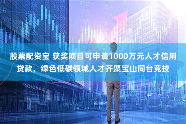 股票配资宝 获奖项目可申请1000万元人才信用贷款，绿色低碳领域人才齐聚宝山同台竞技